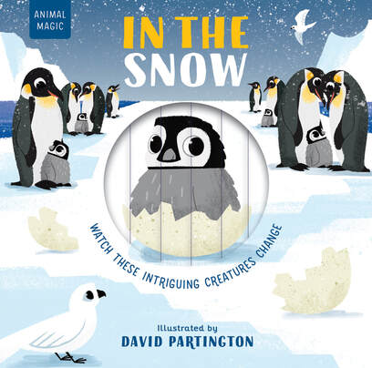 Animal Magic: In the Snow cover