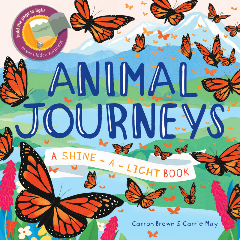 Shine-a-Light Animal Journeys cover