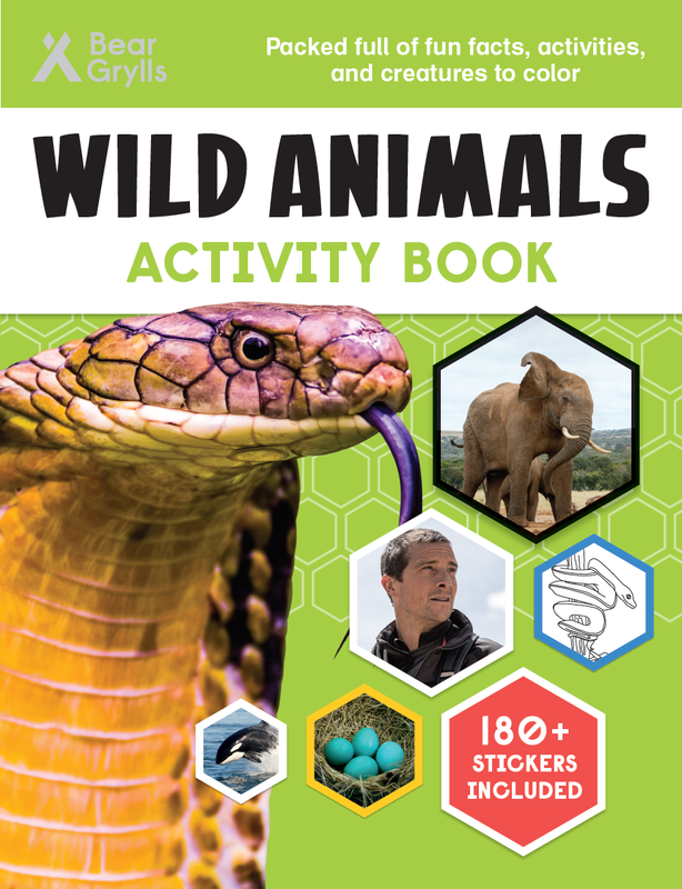 Wild Animals Activity Book cover