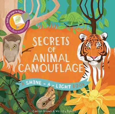 Shine-a-Light Secrets of Animal Camouflage book cover