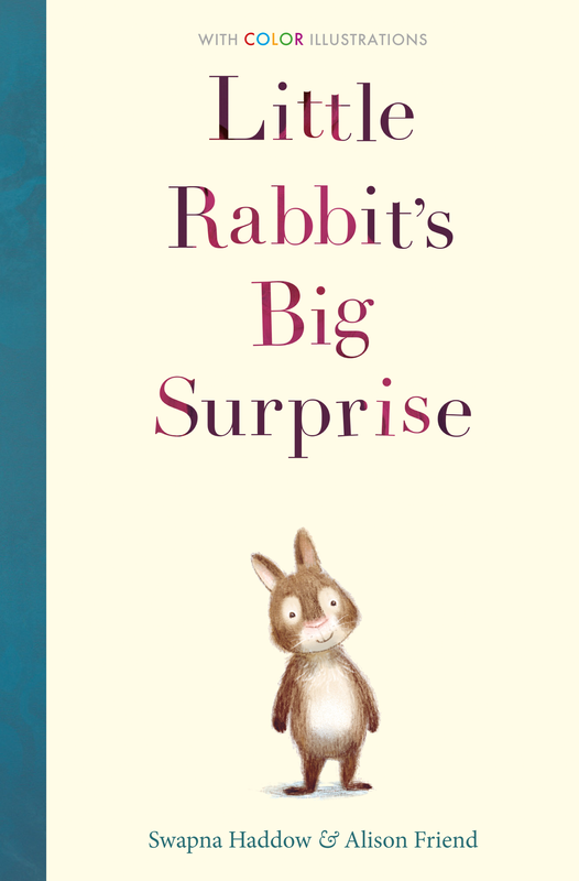 Little Rabbit's Big Surprise book cover