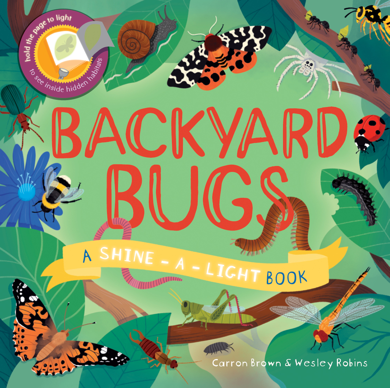 Shine-a-Light Backyard Bugs cover