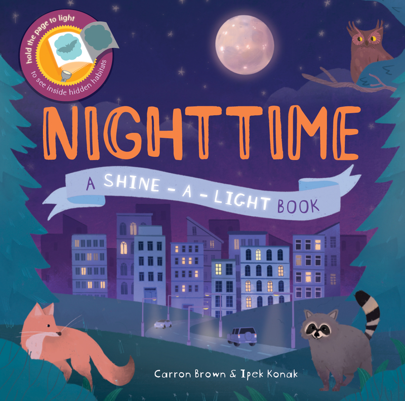 Shine-a-Light Nighttime cover