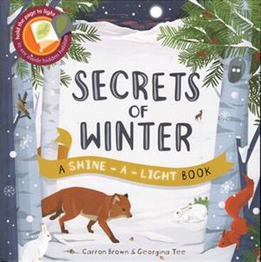 Shine-a-Light Secrets of Winter book cover